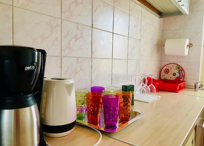 Joy City Lucaciu 16 *